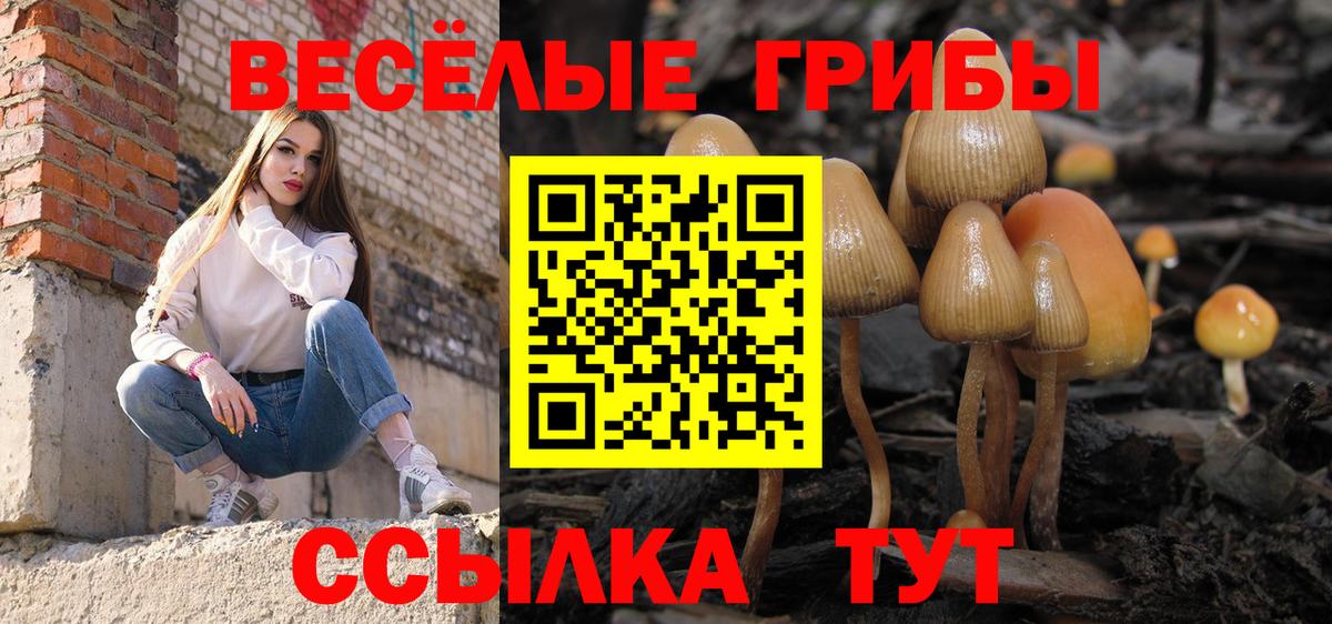 Галлюциногенные грибы Psilocybine cubensis Лабытнанги